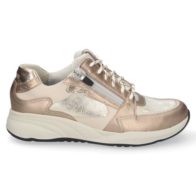 Sneaker 6295 608 1469 torrone beige