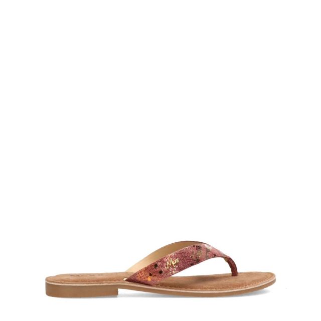 teenslipper Grizzly nude 5003