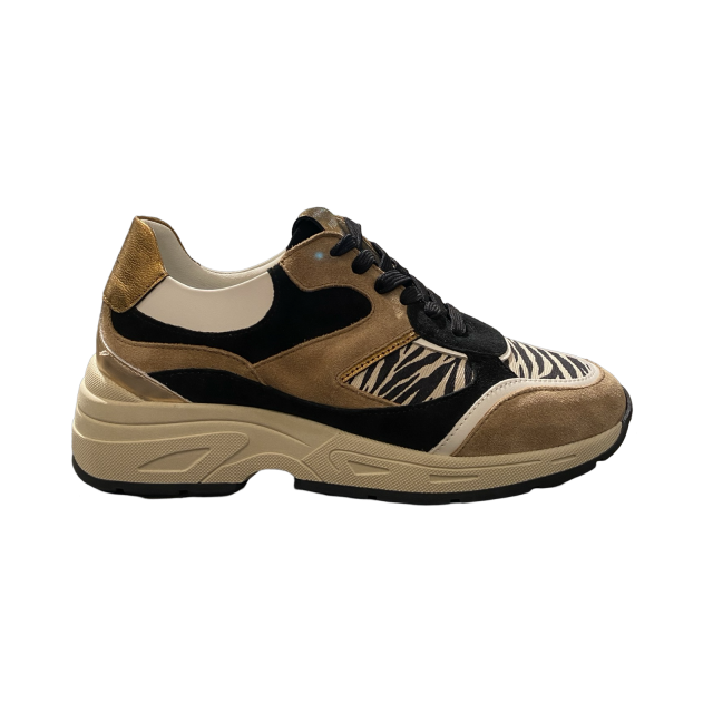 Sneaker Talla 03.11 beige zebra